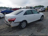 Toyota Camry Xle V6 4T1BK46K08U566372 photo