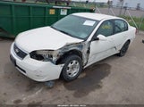 CHEVROLET MALIBU LT 1G1ZT51F86F166487 photo