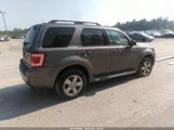 FORD ESCAPE XLT 1FMCU0DG4BKB94396 снимка