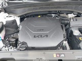 Kia Telluride Ex 5XYP34GC1RG525931 снимка
