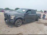 Ford F-150 Xlt 1FTEW1EF3GFC20442 снимка