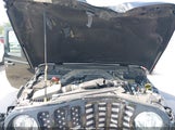 Miniaturka zdjęcia 10