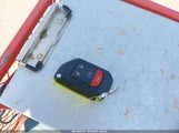 Miniaturka zdjęcia 11