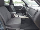 FORD ESCAPE XLT 1FMCU0DG0BKB11904 fotografie