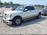 FORD F-150 FX4/HARLEY-DAVIDSON/KING RANCH/LARIAT/PLATINUM/XL/XLT 1FTFW1EV8AFD48274 fotografie