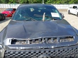 TOYOTA TUNDRA SR5 5TFUY5F13MX994132 снимка