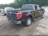 Ford F-150 Xlt 1FTFW1CF3DFC13557 снимка
