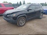 Jeep Cherokee Trailhawk 4X4 1C4PJMBX0LD591845 снимка