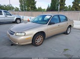 CHEVROLET MALIBU 1G1ND52J83M717555 снимка