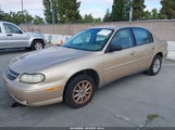 CHEVROLET MALIBU 1G1ND52J83M717555 снимка