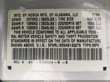 HONDA ODYSSEY LX 5FNRL18594B143279 снимка