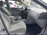TOYOTA COROLLA LE 1NXBU4EE0AZ364496 снимка