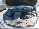 Miniaturka zdjęcia 10
