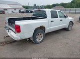 DODGE DAKOTA BIGHORN/LONESTAR 1D7CE3GK4AS163639 photo
