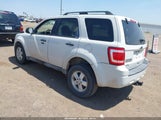 FORD ESCAPE XLT 1FMCU0D73BKA22375 снимка