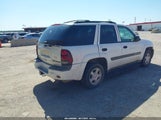 CHEVROLET TRAILBLAZER LS 1GNDS13S432344431 снимка