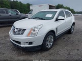 CADILLAC SRX LUXURY COLLECTION 3GYFNBE31GS584836 fotografie