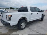 Ford F-150 Xl 1FTEW1C57LKF08962 снимка