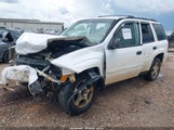 CHEVROLET TRAILBLAZER FLEET 1GNDT13S582233424 снимка