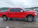 Ford F-150 Xlt 1FTFW1ET8CKD11394 снимка