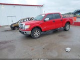 Ford F-150 Xlt 1FTFW1ET8CKD11394 снимка