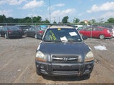 HYUNDAI TUCSON GLS KM8JM12B49U034358 снимка