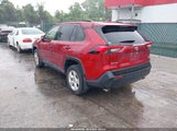 Toyota Rav4 Xle JTMP1RFV9KJ008226 снимка