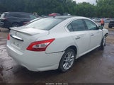 NISSAN MAXIMA 3.5 SV 1N4AA5AP2BC862525 снимка