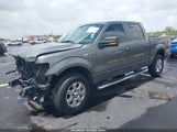 FORD F-150 XLT 1FTFW1EF3DFD52357 снимка