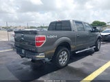 FORD F-150 XLT 1FTFW1EF3DFD52357 снимка