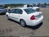 Chevrolet Malibu 1G1ZS52F25F153704 fotografie