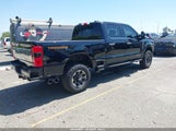 FORD F-250 PLATINUM 1FT8W2BM7REC79606 photo