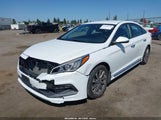 HYUNDAI SONATA SPORT 5NPE34AF6GH411357 photo