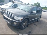 INFINITI QX56 5N3AA08A26N810761 снимка