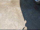 Dodge Challenger Sxt 2C3CDYAG5DH646135 снимка