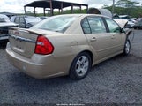 CHEVROLET MALIBU LT 1G1ZU54824F134805 снимка