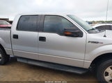 FORD F-150 FX2 SPORT/HARLEY-DAVIDSON/KING RANCH/LARIAT/PLATINUM/XL/XLT 1FTFW1CVXAKC09905 снимка