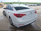 HYUNDAI SONATA 5NPE24AF7HH537702 снимка