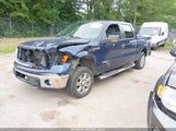 FORD F-150 XLT 1FTFW1ET0DFB16965 снимка