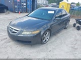 ACURA TL 19UUA66285A004102 снимка