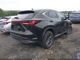 Lexus Nx 350H Premium 2T2GKCEZ7SC044244 снимка