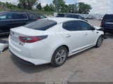 KIA OPTIMA HYBRID KNAGM4AD5F5085941 снимка