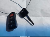 Miniaturka zdjęcia 11