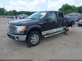 Ford F-150 Fx4/Harley-Davidson/King Ranch/Lariat/Platinum/Xl/Xlt 1FTFW1EV8AFB86646 fotografie