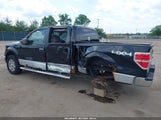Ford F-150 Fx4/Harley-Davidson/King Ranch/Lariat/Platinum/Xl/Xlt 1FTFW1EV8AFB86646 fotografie