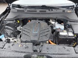 Hyundai Kona Electric Limited KM8K33AG7LU064946 photo