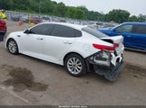 Miniaturka zdjęcia 3