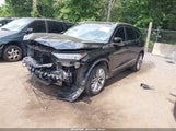 Miniaturka zdjęcia 2