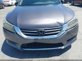 HONDA ACCORD LX 1HGCR2F39EA284456 снимка
