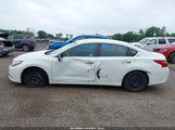 NISSAN ALTIMA 2.5/2.5 S/2.5 SL/2.5 SR/2.5 SV 1N4AL3AP3GC225505 fotografie